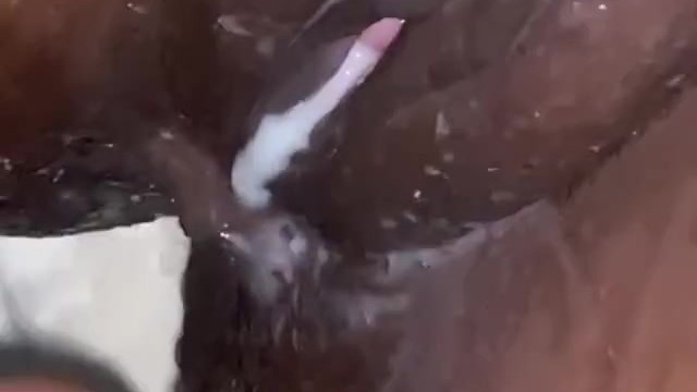 BBC Creamy Dripping Pussy Fuck !! Rubber Band Stretched Tightest ever